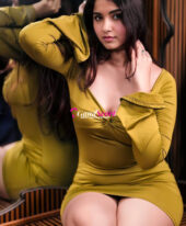 9911558886 Find & Book Call Girls In Delhi Adarsh Nagar